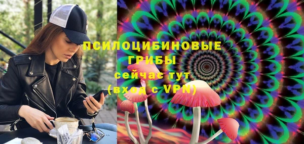 прущие крисы Вязники